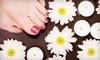 Shelly's Salon & Spa Coupons Itasca, Illinois Deals