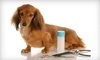 Rad Dog Pet Salon and Services Coupons Jacksonville, Florida Deals