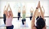 Dancing Dogs Yoga Coupons Greensboro, North Carolina Deals