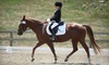 Reddemeade Equestrian Center Coupons Silver Spring, Maryland Deals
