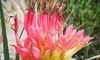 UC Botanical Garden at Berkeley Coupons Berkeley, California Deals