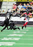 Cleveland Gladiators Coupons Cleveland, OH Deals