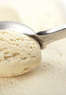 Nellie Bly's Olde Tyme Ice Cream Parlour Coupons Riverton, NJ Deals
