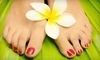 Vernon Martin Salon Coupons Dunnellon, Florida Deals