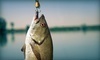 Pocono Fishing Adventures Coupons Towamensing, Pennsylvania Deals