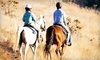 Talking Horse Riding Stables Coupons Corona, California Deals