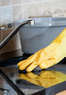 Squeaky Clean Coupons  Deals