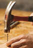 Green Home Care Coupons  Deals