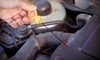 Tint World Coupons Weston, Florida Deals