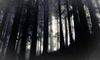 Houston Ghost Tour Coupons Spring, Texas Deals