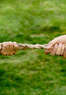 The Preparatory Academy Day Camp Coupons Jackson, NJ Deals