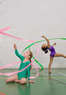 Gymnastics Learning Center Coupons Shrewsbury, MA Deals