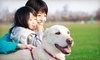 Man's Best Friend Coupons Houston, Texas Deals