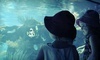 World Aquarium Coupons St. Louis, Missouri Deals
