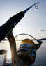 The Angler Fishing Fleet Coupons Port Washington, NY Deals
