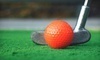 Pitch Putt & Play Coupons Pearland, Texas Deals