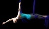 Dragonfly Aerial Arts Studio Coupons Knoxville, Tennessee Deals