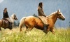 Rockn' C Trail Rides Coupons Lubbock, Texas Deals