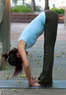 Iyengar Yoga Center Coupons Boulder, CO Deals