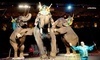 El Jebel Shrine Circus Coupons Broomfield, Colorado Deals