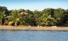 Jungle Jeanie's by the Sea Coupons  Deals