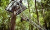 Spring Mountain Adventures Coupons Spring Mount, Pennsylvania Deals