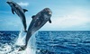 Jax Water Tours Coupons St. Augustine, Florida Deals