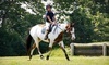 Briarstone Riding Academy Coupons Waterloo, Illinois Deals