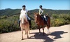 Westside Riding School Coupons Los Angeles, California Deals