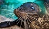 Aquarium of Niagara Coupons Niagara Falls, New York Deals