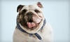 Woodland Animal Hospital Coupons Carmel, Indiana Deals