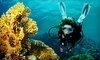 Scuba Network Coupons Deerfield Beach, Florida Deals