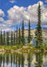 Whistler Premier Coupons Whistler, BC Deals