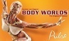 "Body Worlds" Coupons New York, New York Deals