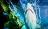 Greater Cleveland Aquarium Coupons Cleveland, Ohio Deals