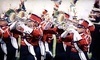 Connecticut Drums Coupons New Haven, Connecticut Deals