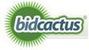 Bidcactus