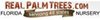 Realpalmtrees_com958