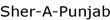 Sher-A-Punjab Coupons Chicago, IL Deals